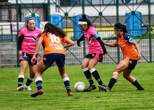 Ireland 1 France 2: Women's Football Clash at Tallaght Stadium as France Edge Ahead in World Cup Qualifiers