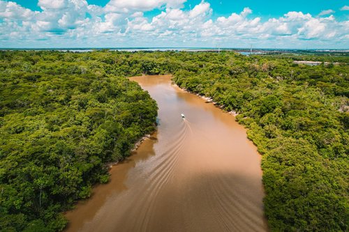 Irony at the Amazon: 8-Mile Forest Felled for COP30 Climate Summit Highway Sparks Global Outcry