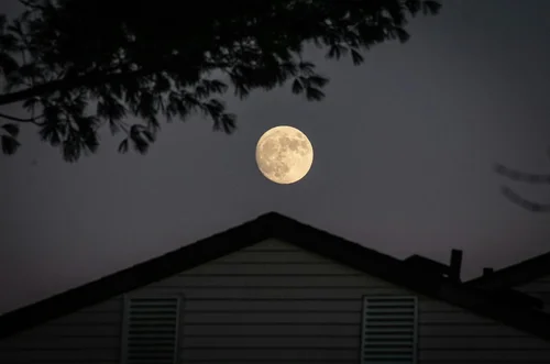 NASA Cancels Moon Landing: Artemis 3 Mission Scrapped as Agency Restructures Moon Program