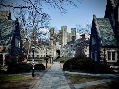 Princeton University Unveils Revolutionary Plasma Sensors That Could Unlock Commercial Fusion Power