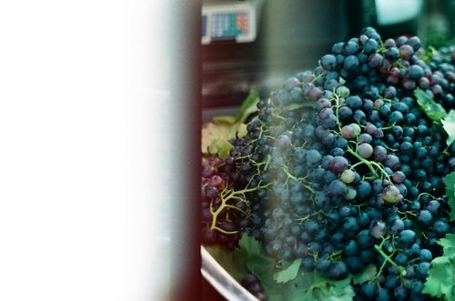 Wine War Escalates: Ukraine Prepares Licensing Restrictions on Moldovan Exports Amid Poultry Trade Dispute