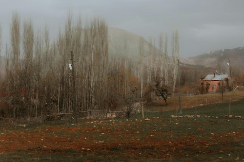 Nearly 66,000 Afghans Displaced as Afghanistan-Pakistan Conflict Escalates into Regional Crisis