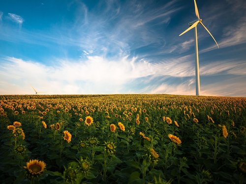 Moldova Eyes 170 MW Wind Farms with Azerbaijan: Strategic Green Energy Partnership in 2026